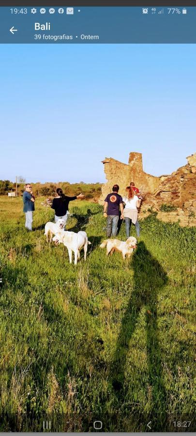 Monte Da Figueira Βίλα Amareleja Εξωτερικό φωτογραφία